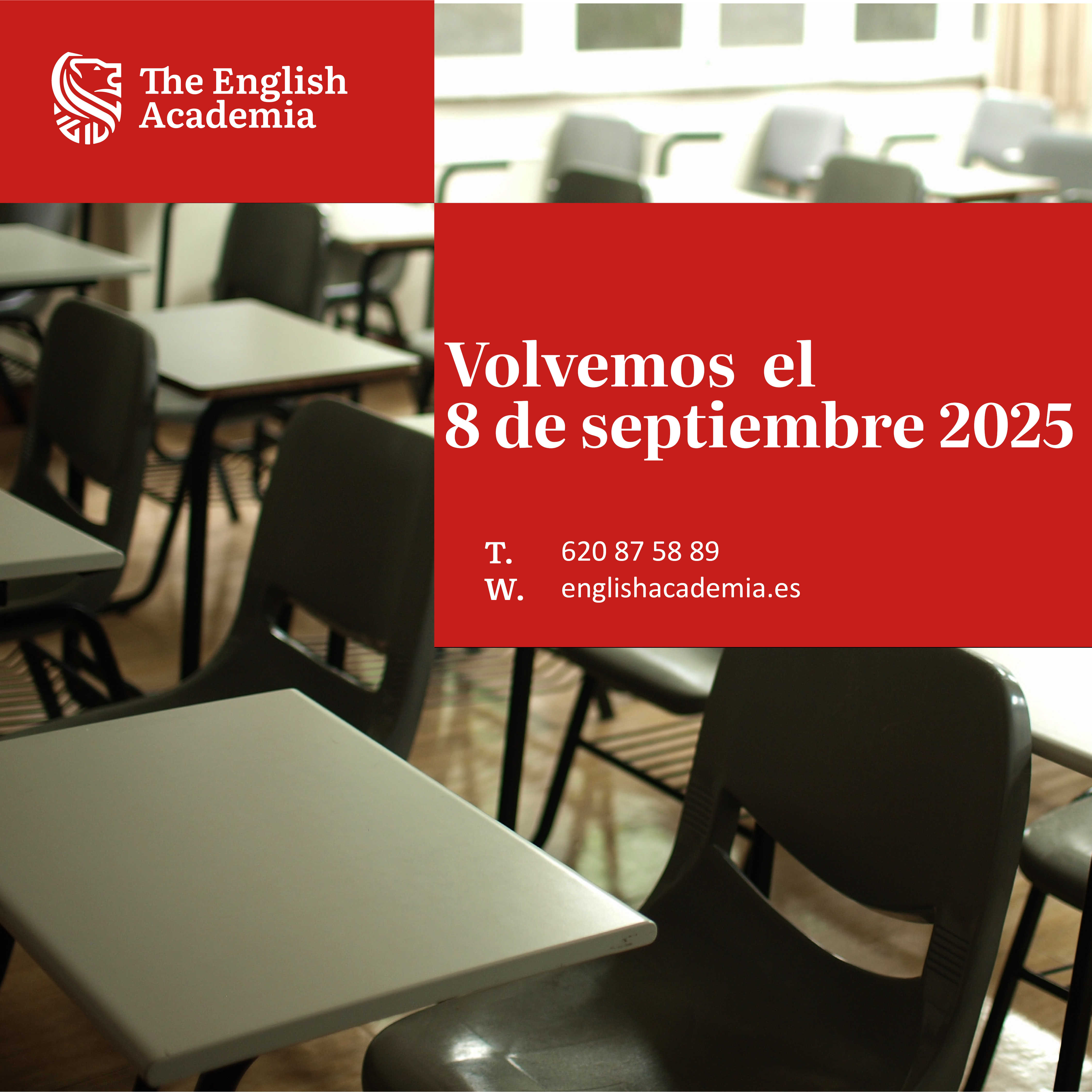 volvemos