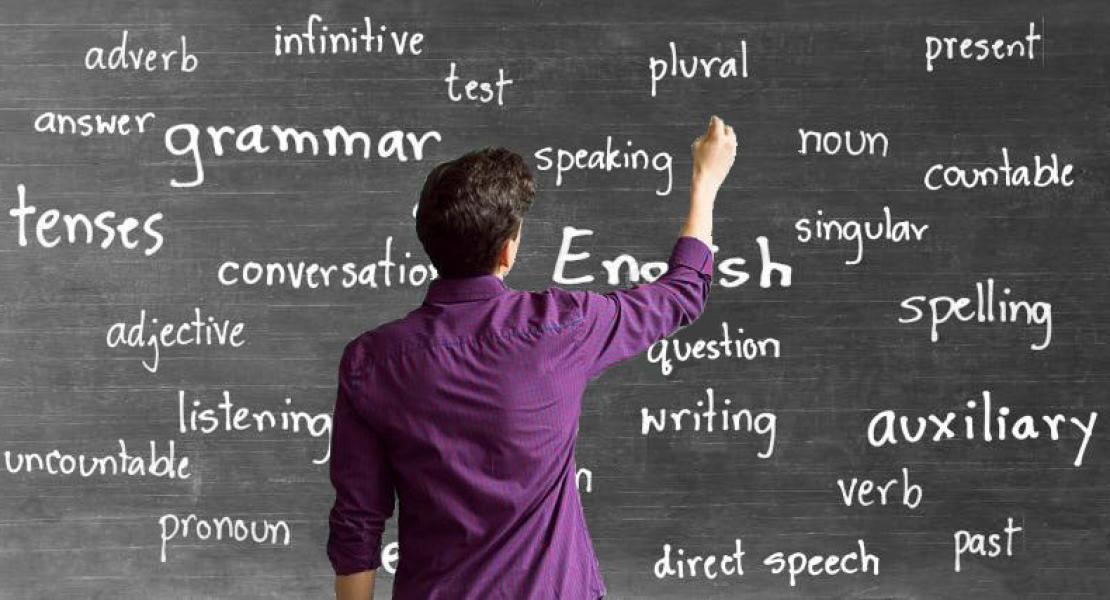 Profesores Nativos